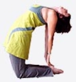 Stage: Les Postures de Base du Yoga