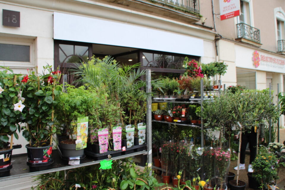 C'est parti pour trois jours de vente de plantes, au 18 rue, de l'Ile à Sablé-sur-Sarthe