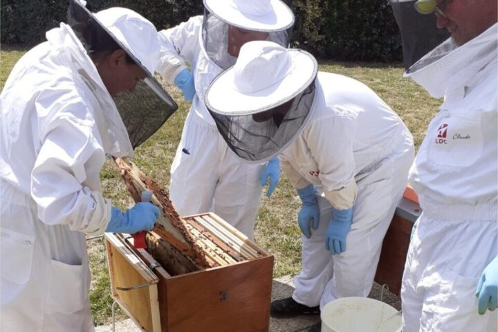 , Sarthe : chez LDC, à Sablé, les salariés fabriquent aussi du miel