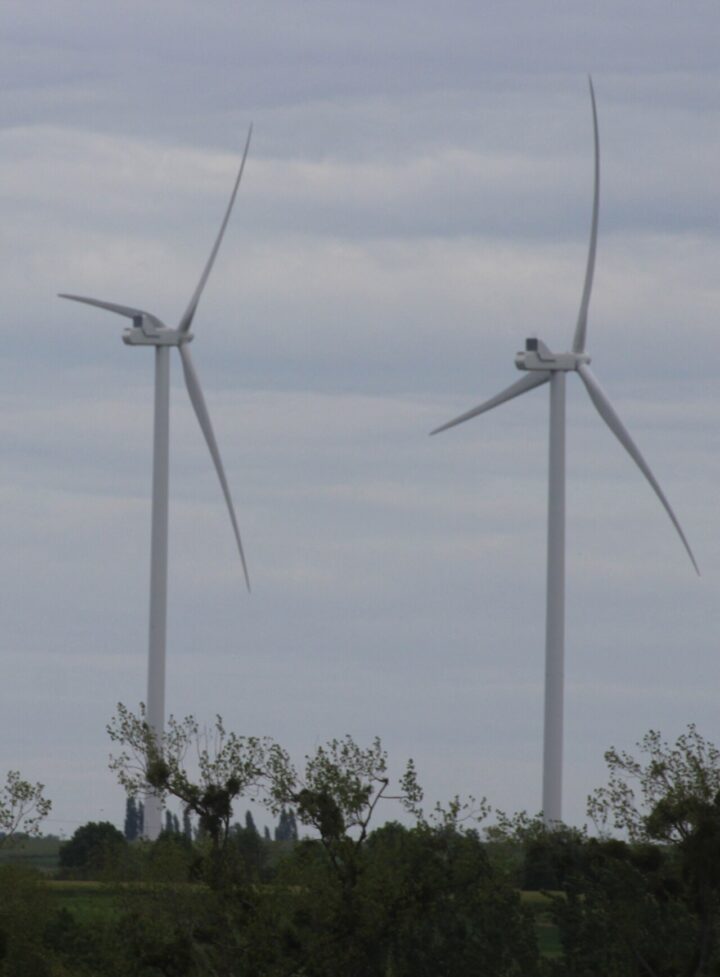 , En Sarthe, un projet éolien avorté à cause des chauve-souris